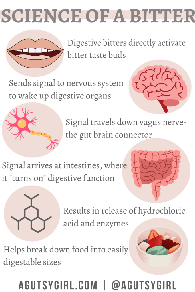 Bitter Herbs for Digestion Science of a Bitter agutsygirl.com #bitters #digestivebitters