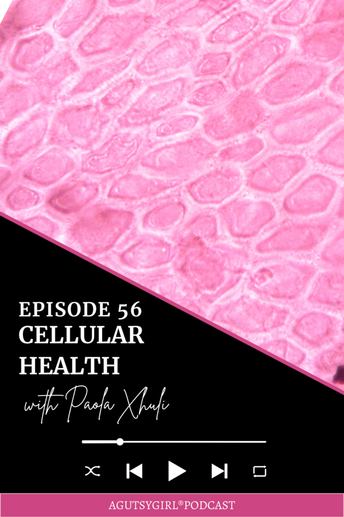 Cellular Healing {+ Diet Food List} Episode 56 with Paola Xhuli agutsygirl.com