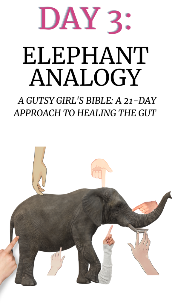 Day 3 elephant analogy from A Gutsy Girl's Bible: a 21-day approach to healing the gut agutsygirl.com