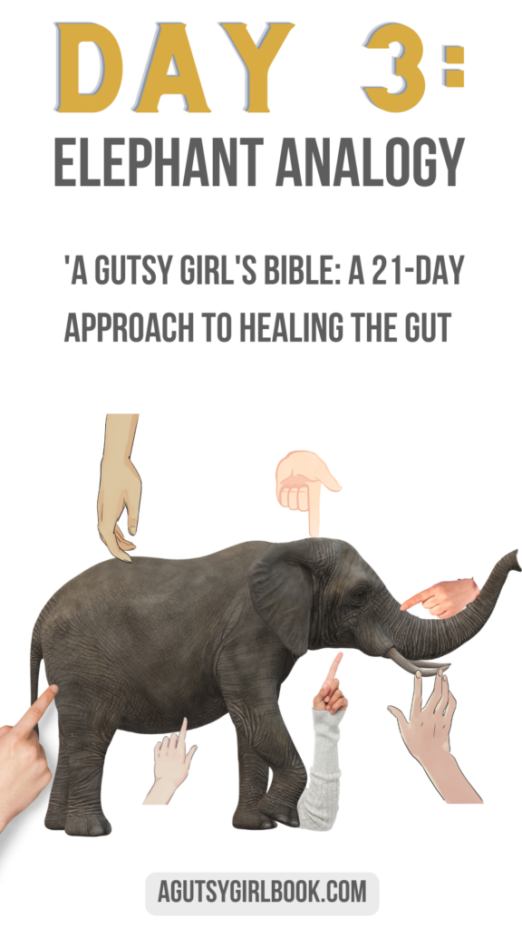 Day 3 elephant analogy in the room best books for healing agutsygirl.com #healing #guthealth