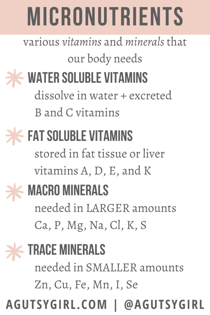 Micronutrients and the Gut {Episode 54 with Bernadette Abraham} agutsygirl.com #micronutrient #guthealth