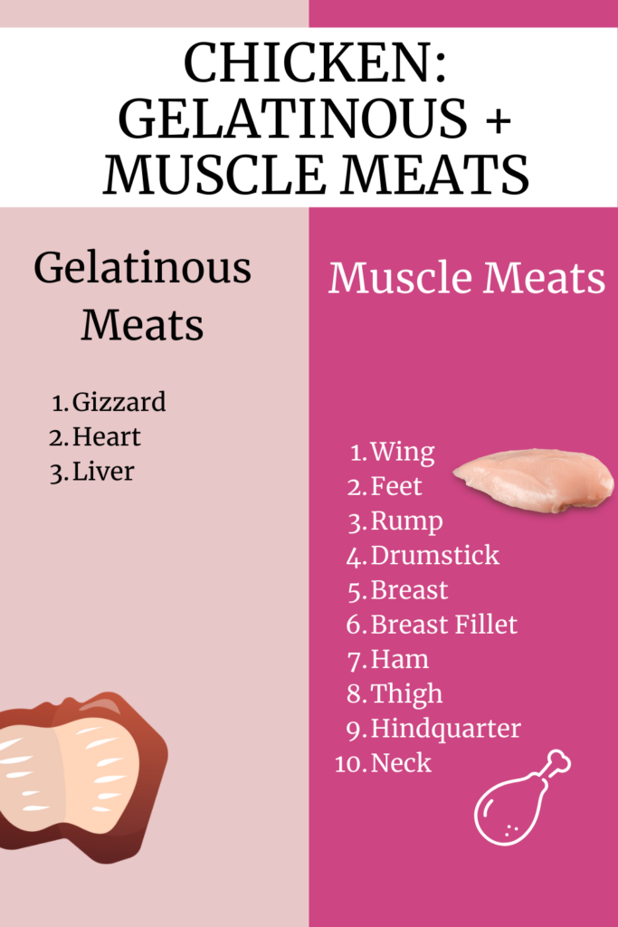 Week 3 chicken + beef Gelatinous Meats