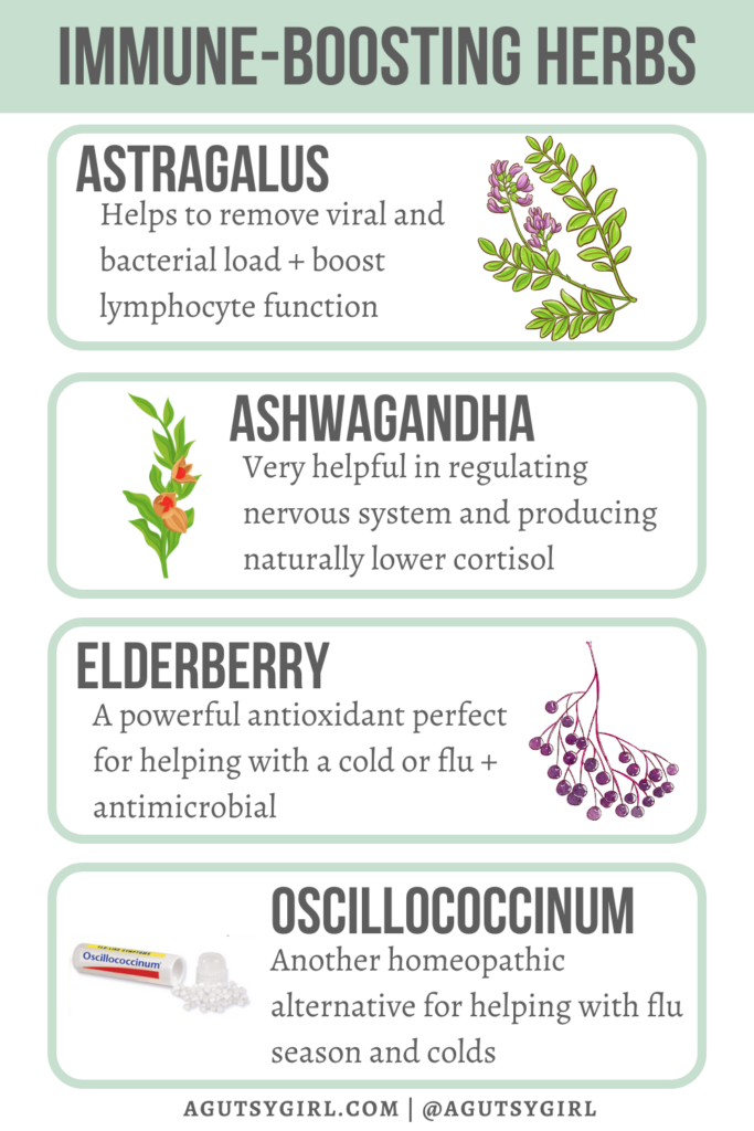 Best Immune Boosting Herbs (and the Gut-Immune Connection) agutsygirl.com #gut #immune #herbs