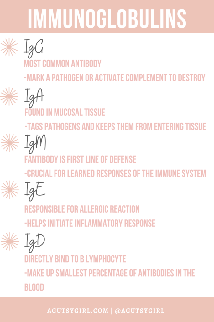 Best Immune Boosting Herbs (and the Gut-Immune Connection) agutsygirl.com #gut #immune immunoglobulins