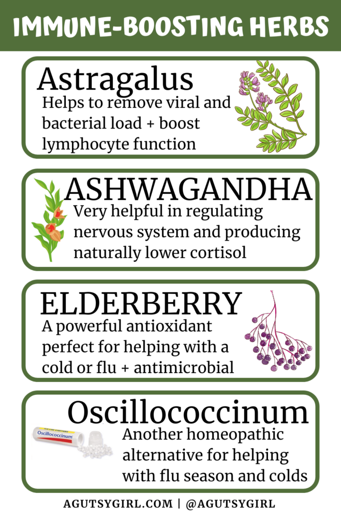 Best Immune Boosting Herbs (and the Gut-Immune Connection) agutsygirl.com