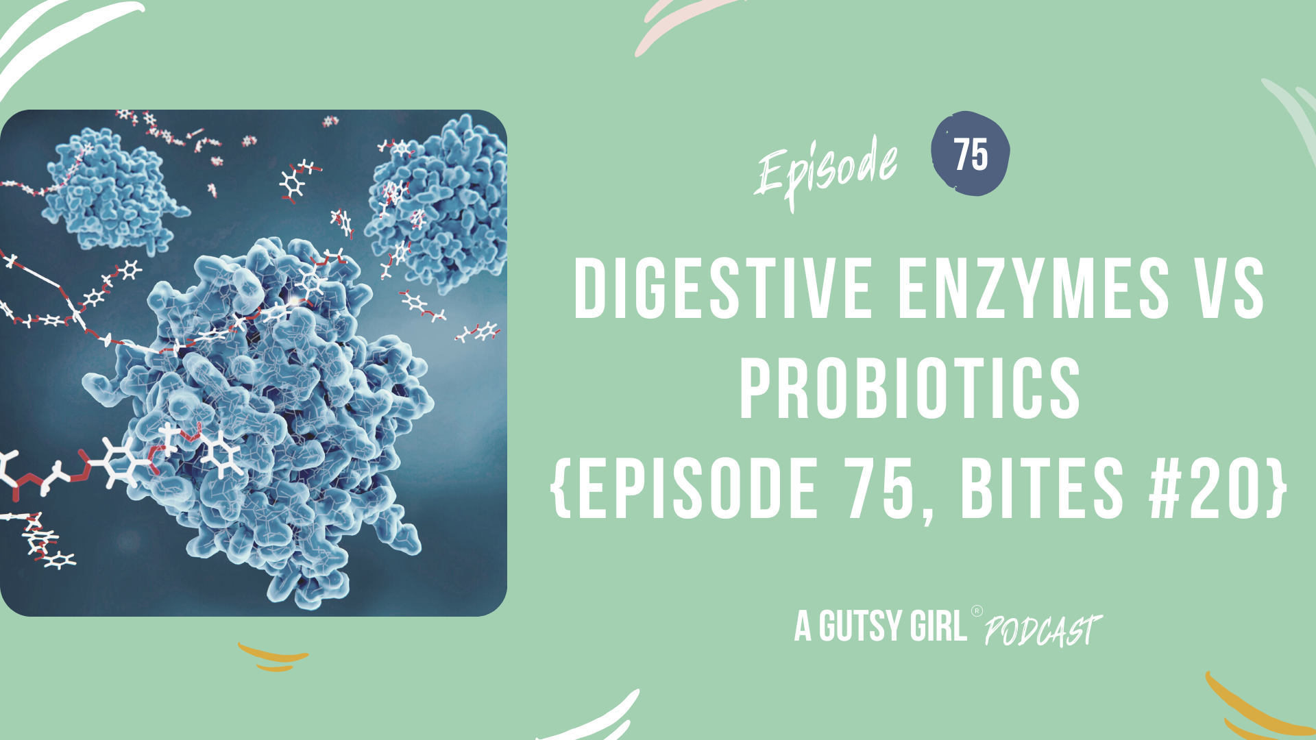 Enzyme vs Probiotic