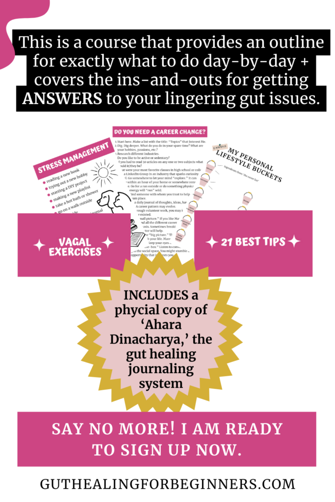 guthealingforbeginners.com gut healing for beginners heal your gut with A Gutsy Girl