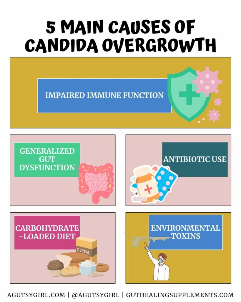 5 main causes of candida overgrowth with A Gutsy Girl agutsygirl.com