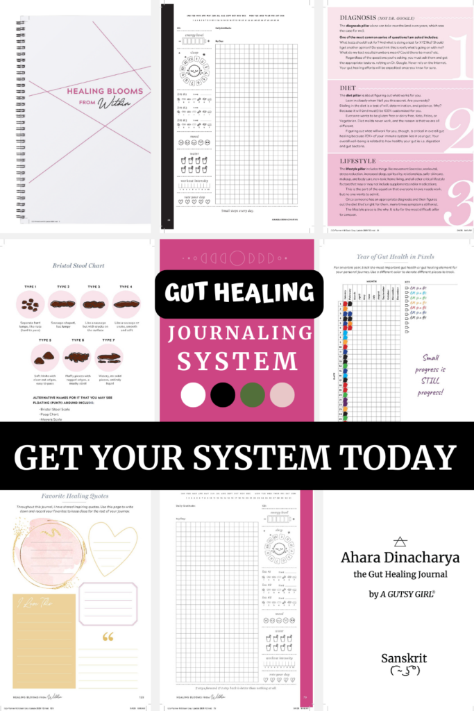 Gut Healing Journaling System agutsygirl.com