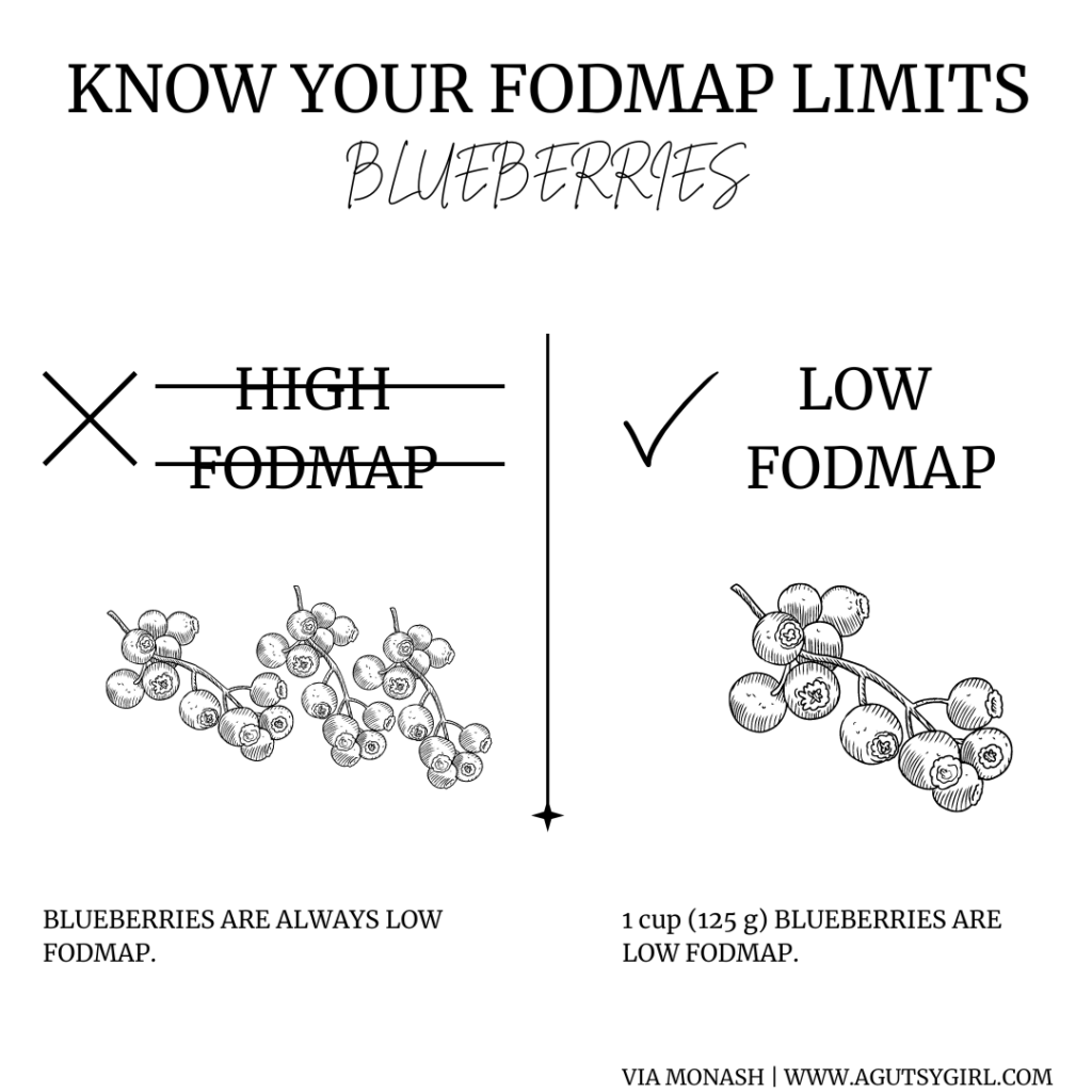 blueberries FODMAP healmysibo.com