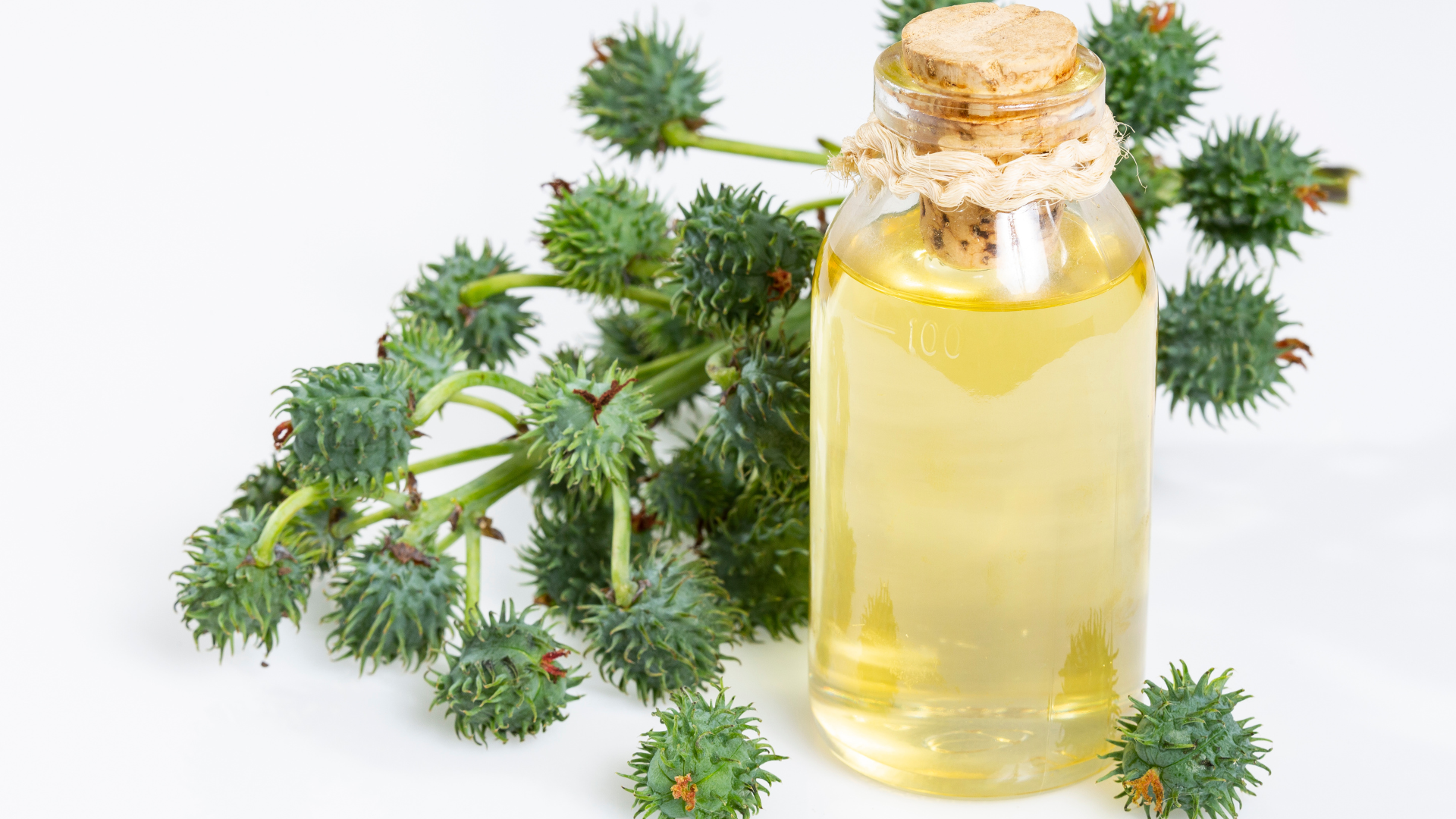 Castor Oil for Gut Health